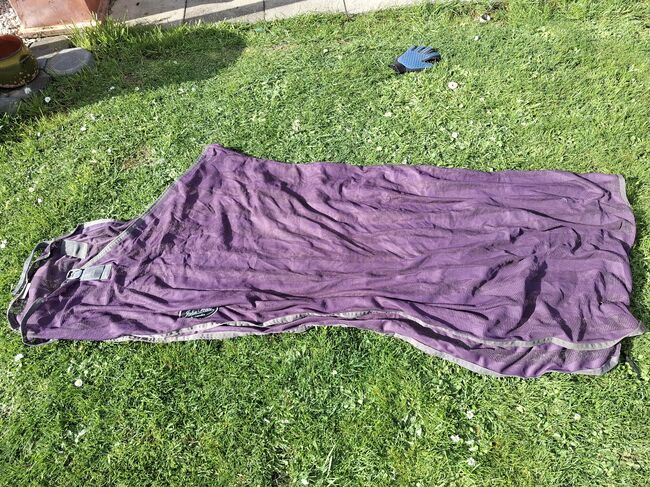 Fliegendecke, Privat , Fliegenschutz, Münzenberg 