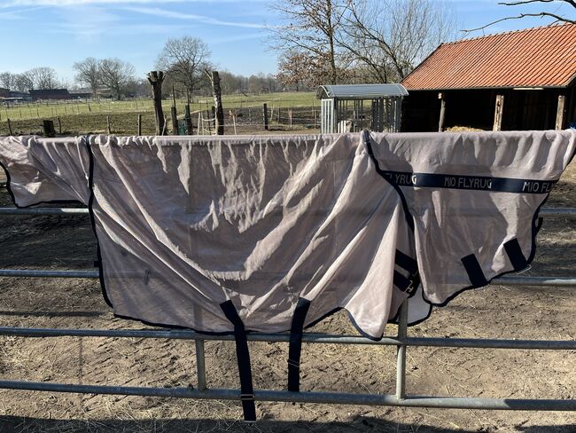 Fliegendecke Gr. 100, Horseware Mio Flyrug, Juliane Fischer, Pferdedecken, Langenlehsten