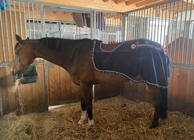 Fliegen Ausreitdecke, Euro Star , Celine, Horse Blankets, Sheets & Coolers, Drensteinfurt, Image 4
