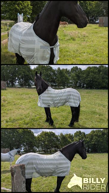 Fliegendecke 125, Henny, Horse Blankets, Sheets & Coolers, Kesselsdorf , Image 4