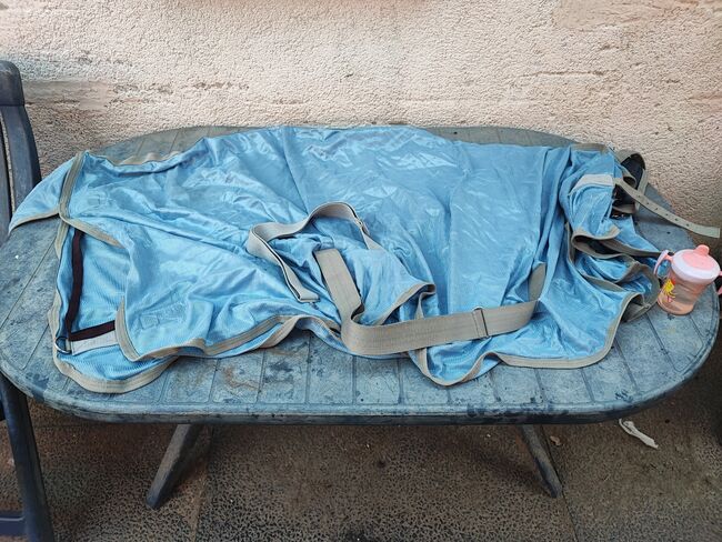 Fliegendecke 145 cm, Bluhm , Horse Blankets, Sheets & Coolers, 41515