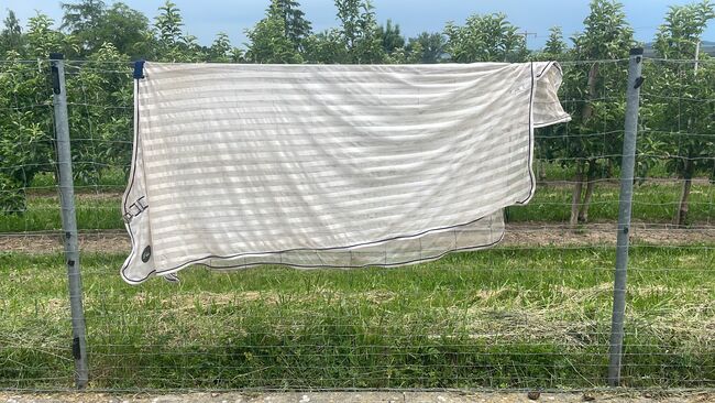 Fliegendecke 165, HKM, Lea, Fly & Insect Control, Fellbach