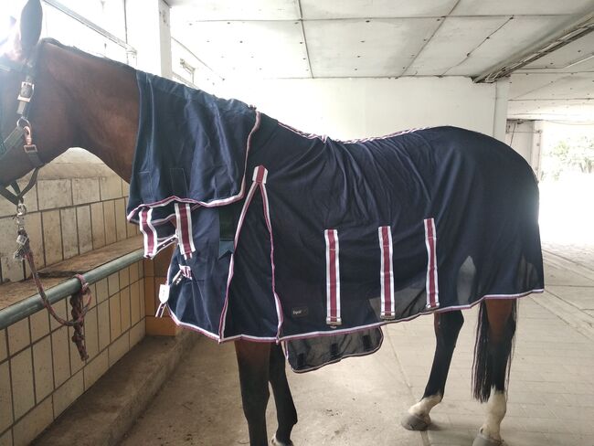 Fliegendecke, Equi Thème, Franzi, Horse Blankets, Sheets & Coolers, Senftenberg