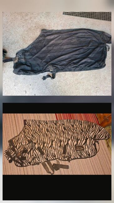 Fliegendecke, Larissa, Horse Blankets, Sheets & Coolers, Hofgeismar