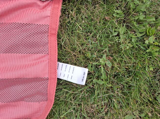Fliegendecke, Diana Bock , Fly & Insect Control, Monheim, Image 5