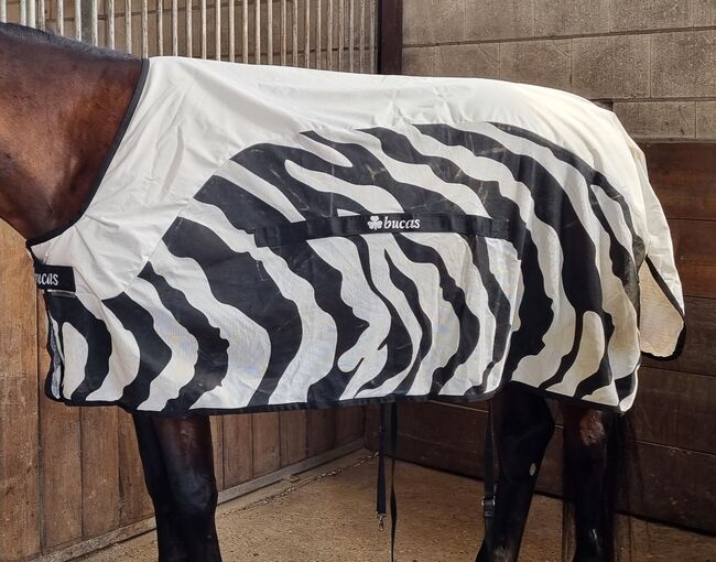 Fliegen-/Regendecke BUCAS BUZZ-OFF RAIN CLASSIC - ZEBRA , 155, Bucas  Buzz off rain classic zebra, Claudia , Horse Blankets, Sheets & Coolers, Essen