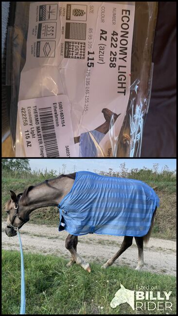 Fliegendecke 115, Thermo Master Economy Light, Christina, Horse Blankets, Sheets & Coolers, Lanzendorf, Image 3