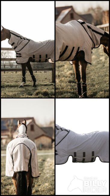 Fliegendecke, Kentucky Horsewear, KKressing Boutique (K & K Glitter Saddlery), Horse Blankets, Sheets & Coolers, Bovenden, Image 9