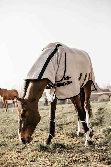 Fliegendecke, Kentucky Horsewear, KKressing Boutique (K & K Glitter Saddlery), Horse Blankets, Sheets & Coolers, Bovenden, Image 4