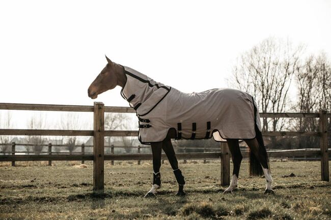 Fliegendecke, Kentucky Horsewear, KKressing Boutique (K & K Glitter Saddlery), Horse Blankets, Sheets & Coolers, Bovenden