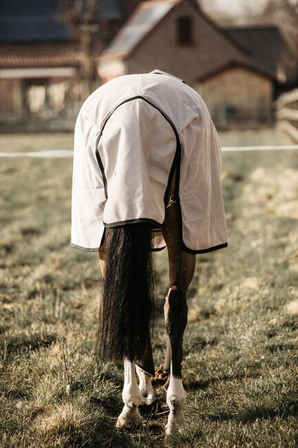 Fliegendecke, Kentucky Horsewear, KKressing Boutique (K & K Glitter Saddlery), Horse Blankets, Sheets & Coolers, Bovenden, Image 6