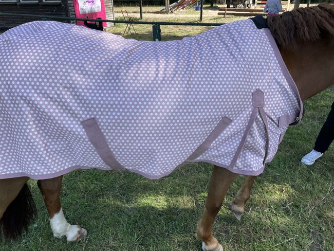 Fliegendecke 115 cm rosa gepunktet, Horsefriends NEU, Horsefriends, Jessy, Horse Blankets, Sheets & Coolers, Wienhausen, Image 4