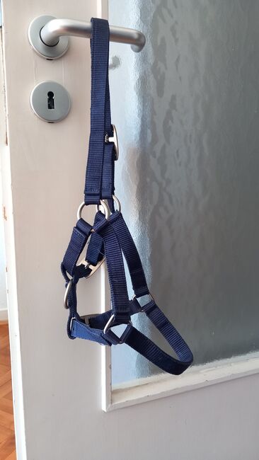 Fohlenhalfter, Marina Grochowski , Halters, Düsseldorf