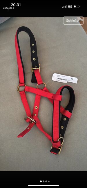 Fohlen Halfter /Neu, Selina , Halters, Schlüchtern