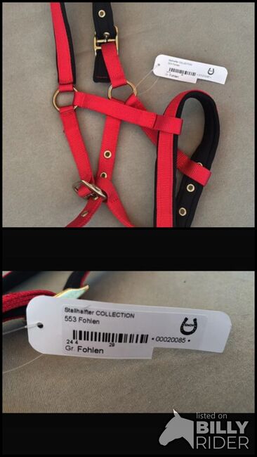 Fohlen Halfter /Neu, Selina , Halters, Schlüchtern, Image 3
