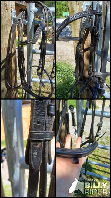 Taumzeug XF, Regina , Bridles & Headstalls, Kainach bei Voitsberg, Image 5