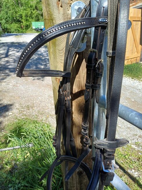 Taumzeug XF, Regina , Bridles & Headstalls, Kainach bei Voitsberg, Image 2