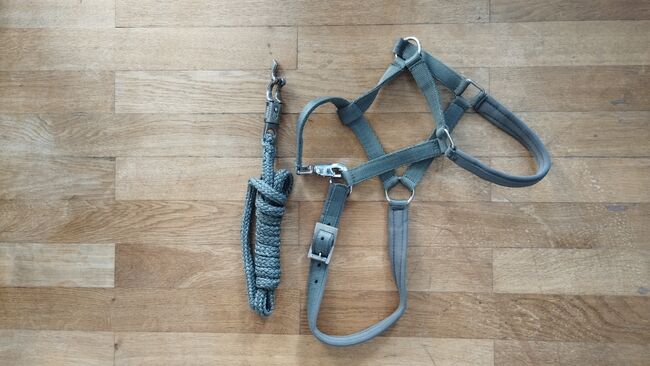 VERKAUFE Graues Nylon Halfter Cob, Krämer , Antonia S., Halters, Hurlach, Image 3