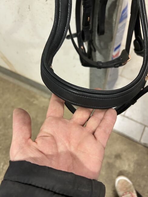 Verkaufe im TOP Zustand Trense mit Zügel, Lia, Bridles & Headstalls, Zangberg, Image 3