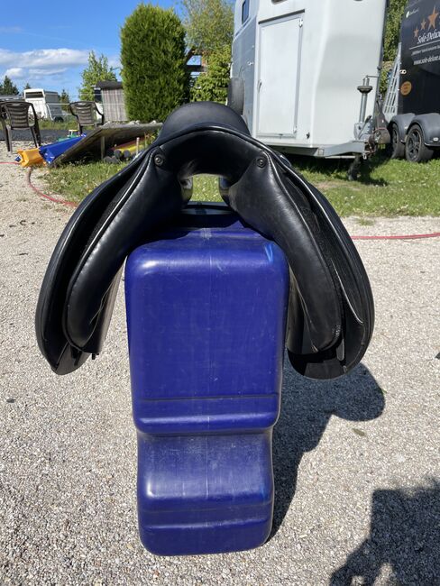Verkaufe VS Busse Bristol 17,5, Busse Bristol, Nicole Thiede, All Purpose Saddle, Miltzow, Image 4