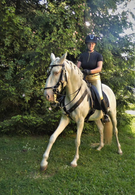 Pflegebeteiligung oder Reitbeteiligung für Lusitano zu vergeben, CN, Horse Sharing
, Altusried