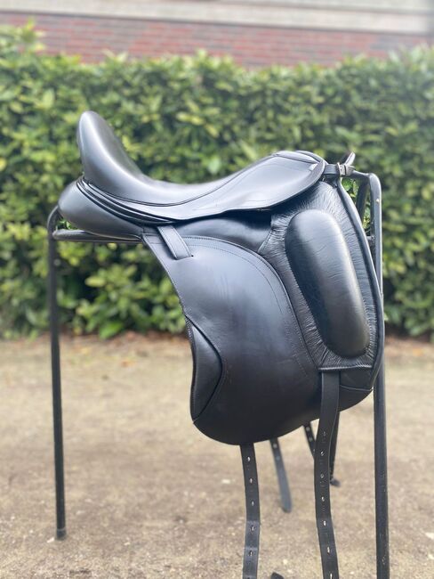 Frank Baines Operetta, Frank Bains  Operetta , Catharina Matschurat, Dressage Saddle, Meijel , Image 4