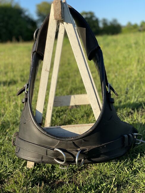 Französisches Kumt Kleinpferd, G.Dillmann, Horse Harness, Neunkirchen-Seelscheid , Image 2