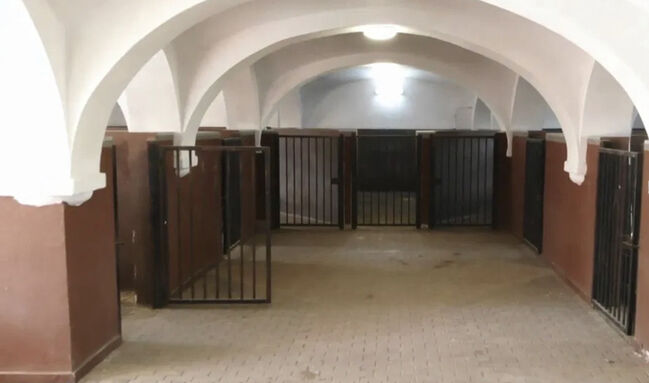 Free places for the trending stable , good price, Dyplimata dressage stable, Ewa Roszkowska, Horse Stables, Kłaczyna , Image 5