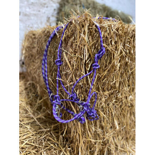 FREE RIDING Knotenhalfter mit Zügeln - PURPLE Knotenhalfter gebisslos UVP 39€, WOW Pferd  (WOW Pferd), Halters, Bayern - Attenkirchen