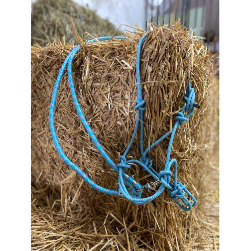 FREE RIDING Knotenhalfter + Zügeln ICY Knotenhalfter gebisslos UVP 39€, WOW Pferd  (WOW Pferd), Halters, Bayern - Attenkirchen
