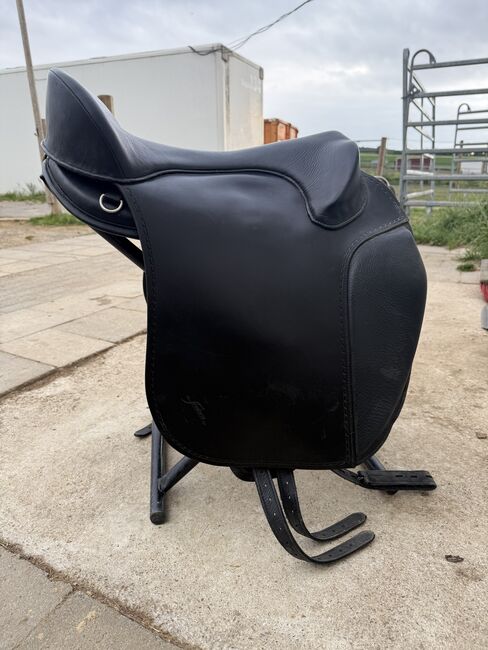 Freeform Sattel SB, Freeform Freeform SB, Sophia Frank, Treeless Saddle, Kassel, Image 3