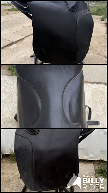 Freeform Sattel SB, Freeform Freeform SB, Sophia Frank, Treeless Saddle, Kassel, Image 4