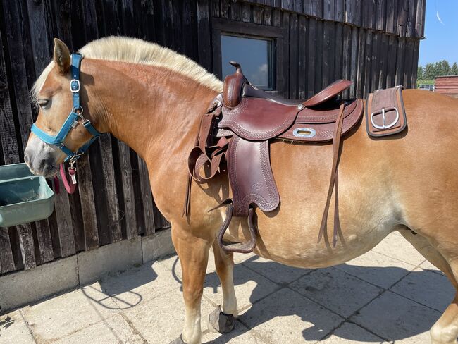 Freemax Westernsattel, Freemax , Stefanie , Western Saddle, Enger