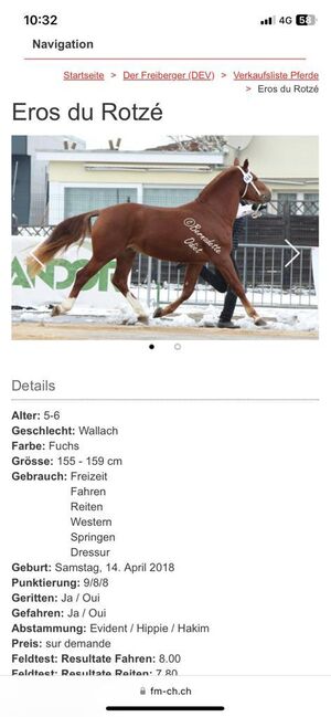 Freiberger Wallach, 5 Jahre, Fuchs, Eros du Rotze, Horses For Sale, Nussbaumen