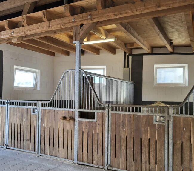 Freie Großräumige Boxen in ruhiger Umgebung, Laura, Stallplätze, Knutbühren ( Göttingen)