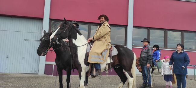 Freizeitpferd Pinto-Hunter Schwarzschecke Wallach, Gabriel Reinhold , Pferd kaufen, Julbach, Abbildung 9