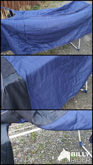 Frisch gewaschene Kavalkade Pferdeunterlage 150 g/135, Kavalkade  Pferdeunterlage , Sabrina , Horse Blankets, Sheets & Coolers, Colbitz, Image 4