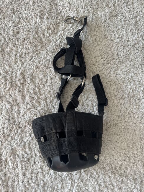 Fressbremse, HKM Fressbremse , Tamara, Stallplätze, Braunschweig