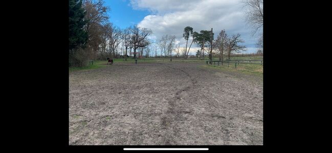 Freie Boxen, Claudia, Horse Stables, Mühlenberge