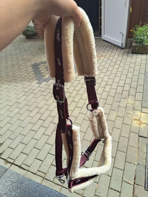 Fell Halfter, Michelle wilms , Halters, Eppstein 
