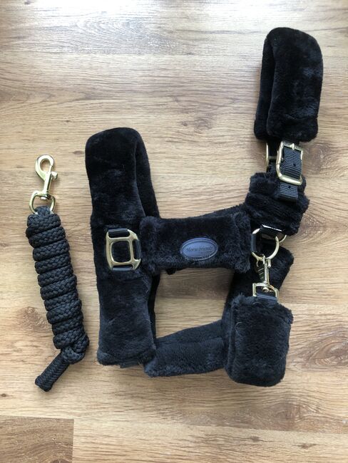 Fellhalfter Set VB/ Cob Isländer *neuwertig*, Loesdau/ Horse Friends, Corinna, Halters, Waltrop