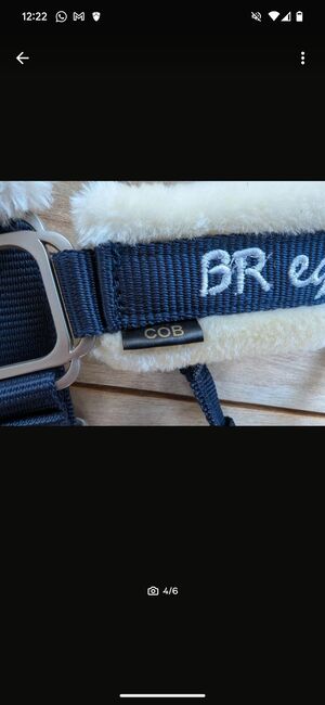 Fellhalter Blau, BR, Beatrice , Halters, Basel , Image 3