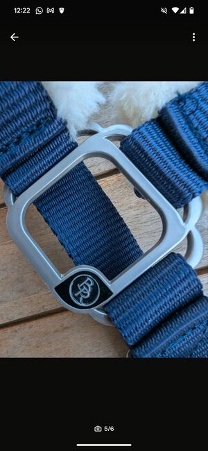 Fellhalter Blau, BR, Beatrice , Halters, Basel , Image 4