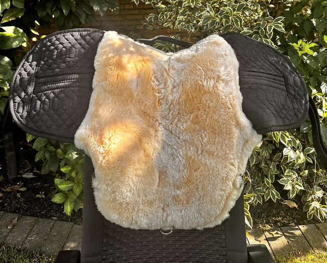 Fellsattel inklusive Zubehör von Engel, Engel Fellsattel, Viviane, Lambskin Pad, Tarp, Image 3