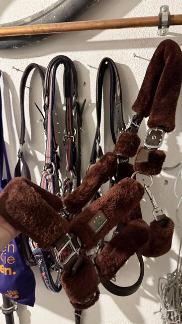 USG Fellhalfter in Braun WB Warmblut, USG Halfter, Sarah Koch, Kantary, Feldkirchen - Westerham