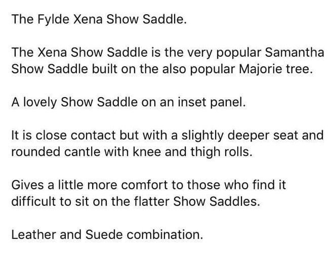 FYLDE XENA, Fylde Xena, LOUISA BOWEN , All Purpose Saddle, Wigan , Image 2