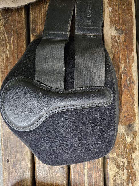 Gamaschen COB, Showmaster, Hannah Wilke, Tendon Boots, Biederitz, Image 2