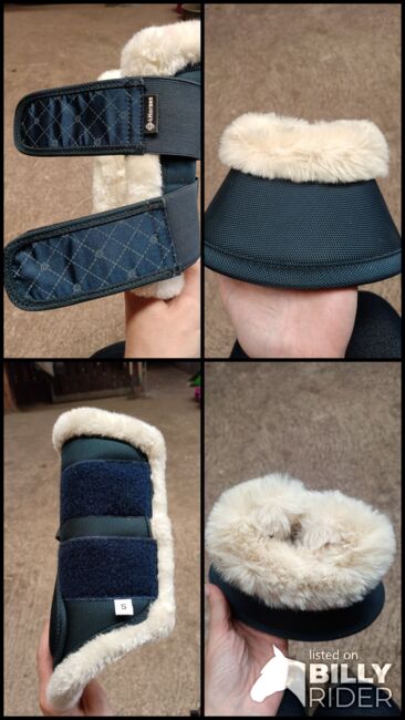 Gamaschen und Hufglocken, Tamara, Tendon Boots, Wischhafen, Image 7