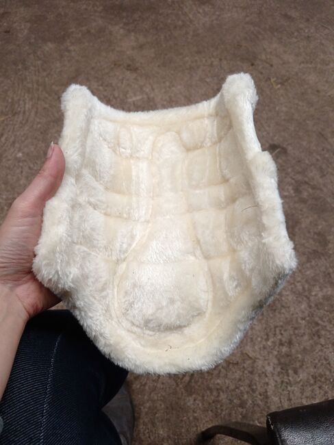 Gamaschen und Hufglocken, Tamara, Tendon Boots, Wischhafen, Image 5