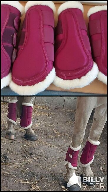 Gamaschen teddyflecce, Powerhorse, Tendon Boots, Ziemetshausen, Image 3